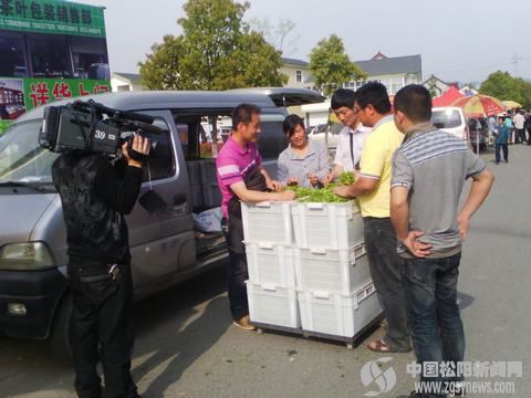 丽水学院_丽水电视台收入