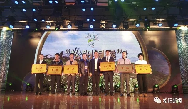第十一届中国茶商大会·松阳银猴茶叶节隆重开幕