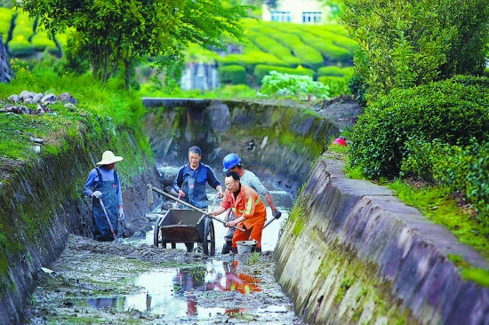 媒体松阳 