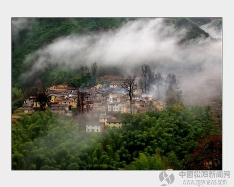 品位四都--松阳新闻网